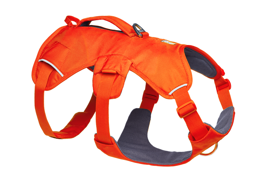 30104_Web-Master-Harness_Blaze-Orange_3_4-Right_SMALL_7ebce8c1-b1fc-4ab3-bb5d-b5d7444616b8.png