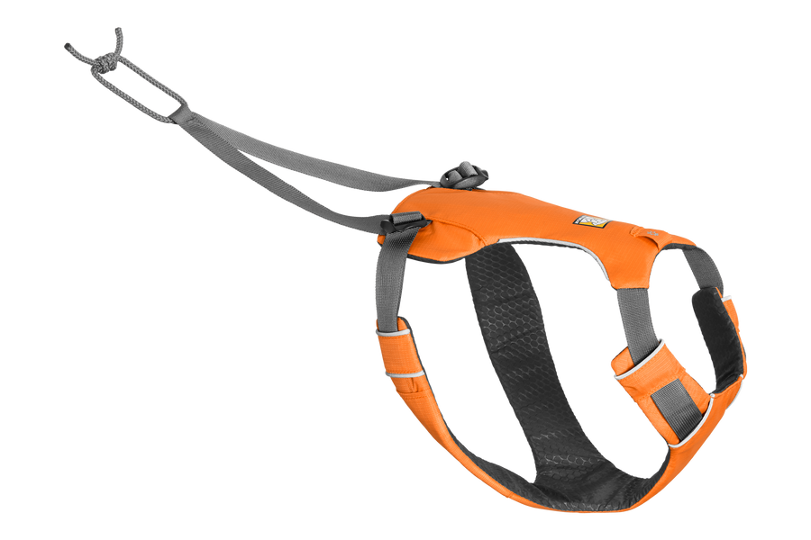 30402-Omnijore-Orange-Poppy-Hipbelt-Harness-Right-SMALL.png