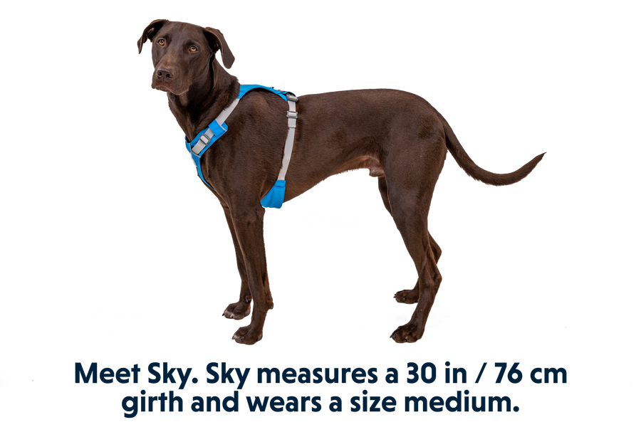30821_Hi-_-Light-Harness_Blue-Dusk_SKY_Medium_8df44258-2d87-47ae-b6a4-5e2a6f3543f2.png