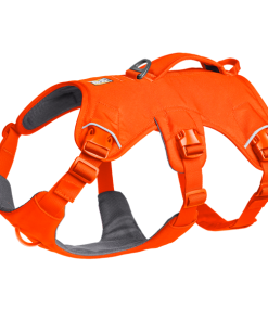 Web Master™ Dog Harness with Handle
