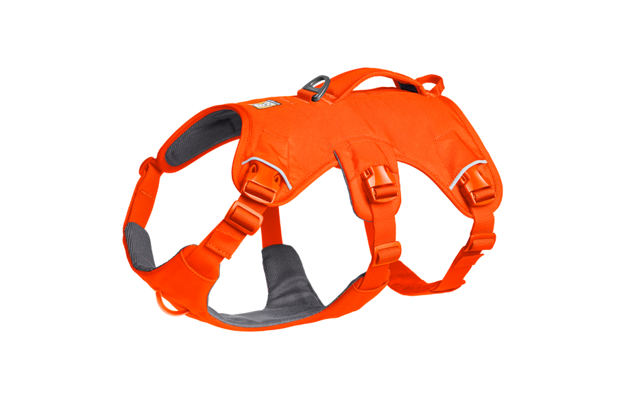 CompressedPNG-30104_Web-Master-Harness_Blaze-Orange_3_4-Left-STUDIO.png